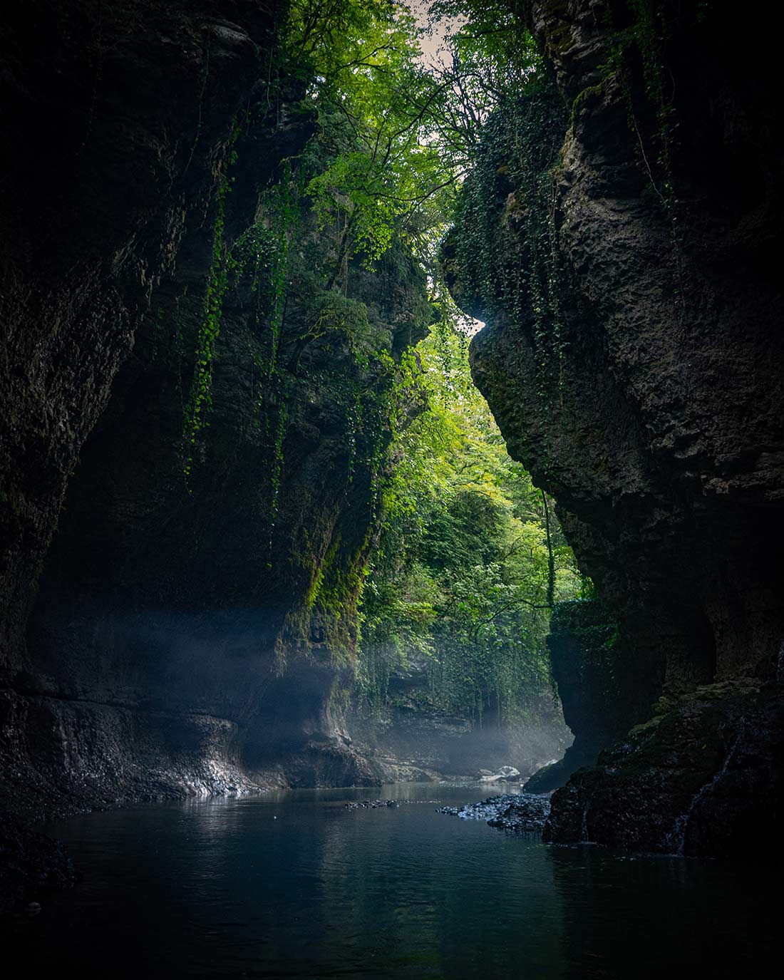 nika-tchokhonelidze-SUHJjwoPE7A-unsplash
